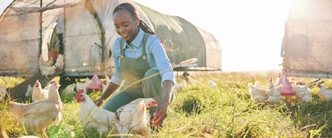 a smiling woman kneeling in a grass field surrounded by chickens